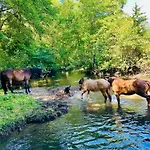 Le Pavillon, Grand Manoir Du Xviie Avec Piscine, Bain Nordique Et Acces Prive A La Charente Villa *