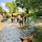 Villa Le Pavillon, Grand Manoir Du Xviie Avec Piscine, Bain Nordique Et Acces Prive A La Charente Alloué