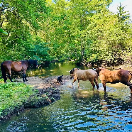 Le Pavillon, Grand Manoir Du Xviie Avec Piscine, Bain Nordique Et Acces Prive A La Charente Villa *