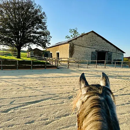 Le Pavillon, Grand Manoir Du Xviie Avec Piscine, Bain Nordique Et Acces Prive A La Charente