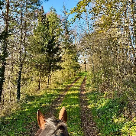 Le Pavillon, Grand Manoir Du Xviie Avec Piscine, Bain Nordique Et Acces Prive A La Charente Villa