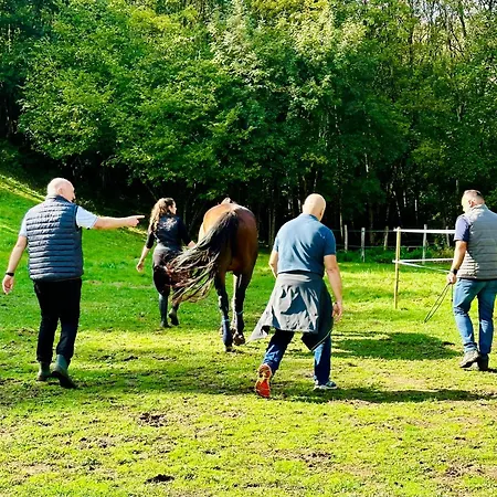 Le Pavillon, Grand Manoir Du Xviie Avec Piscine, Bain Nordique Et Acces Prive A La Charente Villa *