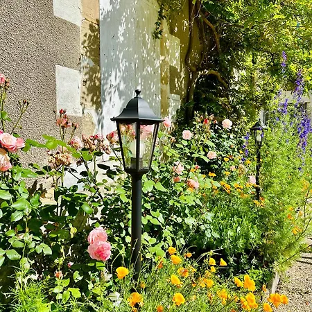 Villa Le Pavillon, Grand Manoir Du Xviie Avec Piscine, Bain Nordique Et Acces Prive A La Charente