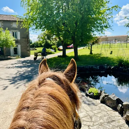 Vila Le Pavillon, Grand Manoir Du Xviie Avec Piscine, Bain Nordique Et Acces Prive A La Charente