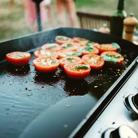 Villa Le Pavillon, Grand Manoir Du Xviie Avec Piscine, Bain Nordique Et Acces Prive A La Charente