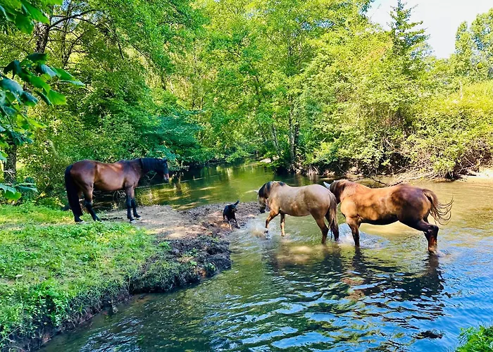 Le Pavillon, Grand Manoir Du Xviie Avec Piscine, Bain Nordique Et Acces Prive A La Charente Villa *