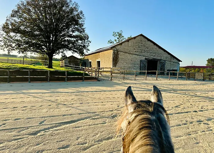Le Pavillon, Grand Manoir Du Xviie Avec Piscine, Bain Nordique Et Acces Prive A La Charente