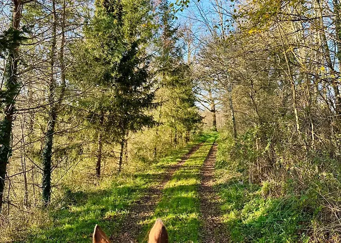 Le Pavillon, Grand Manoir Du Xviie Avec Piscine, Bain Nordique Et Acces Prive A La Charente Villa