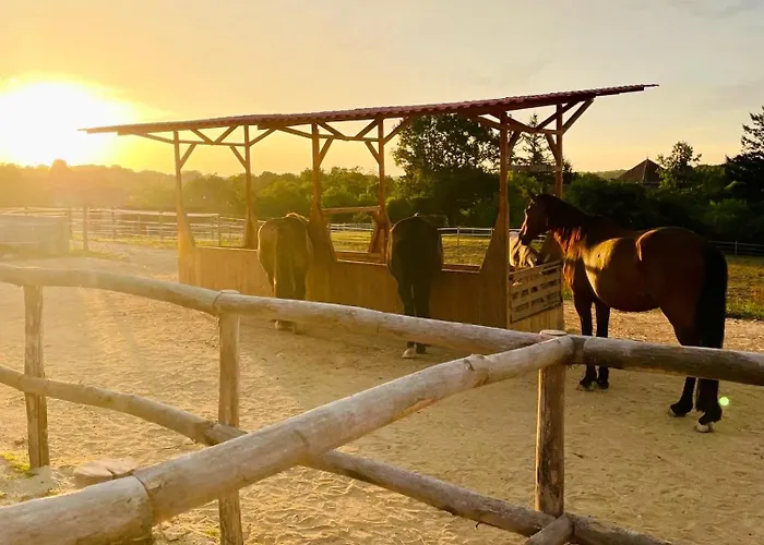 Le Pavillon, Grand Manoir Du Xviie Avec Piscine, Bain Nordique Et Acces Prive A La Charente Alloué