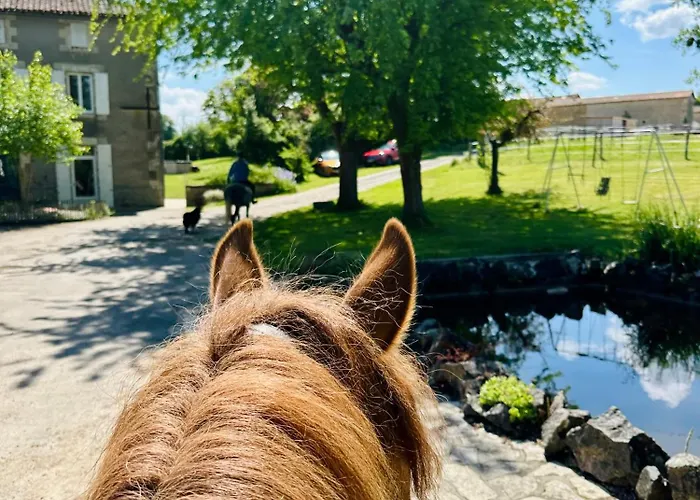 Villa Le Pavillon, Grand Manoir Du Xviie Avec Piscine, Bain Nordique Et Acces Prive A La Charente
