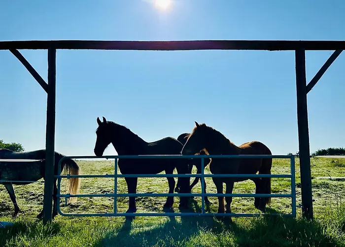 Le Pavillon, Grand Manoir Du Xviie Avec Piscine, Bain Nordique Et Acces Prive A La Charente *